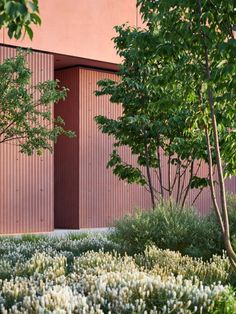 an image of a building that is pink and white with trees in the foreground