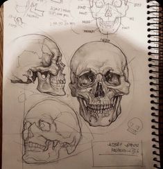 a drawing of three human skulls with different angles and facial features on them, all in various views