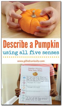 a child holding a pumpkin with the words describe a pumpkin using all five sensess