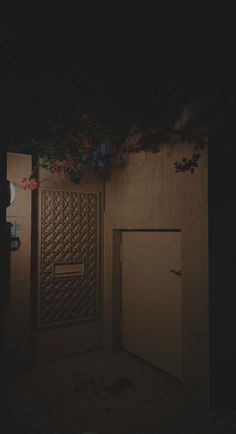 the door is open and there are flowers growing on the wall above it at night