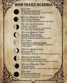 Different Types Of Spells, Moon Phases Meaning, Grimoire Ideas, Kertas Vintage, Moon Rituals, Magia Das Ervas, New Moon Rituals