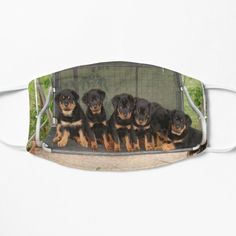 "Six Rottweiler Puppies Lined Up On A Swing" #Mask by by #taiche #Six #Rottweiler #Puppies #rottweiler #rottweilerlove #rottweilers #rottweilerpuppy #rottie #rottweilerfans #rottielove #rottweilerlife #dog #rottweilerlovers #rottweilerpuppies #homedecor #officedecor #roomdecor #pillows #bags #mugs #phonecases #apparel #facemasks #stationery #greatgiftideas Puppies Rottweiler, Rottweiler Love, Rottweiler Lovers, Face Masks For Kids, Rottweiler Puppies, Face Mask Fashion, Themed Gifts, Mask Design, Rottweiler