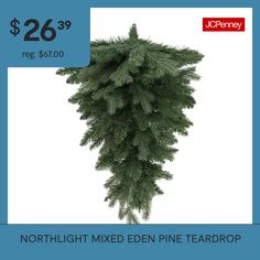 a pine tree is on sale for $ 26 99