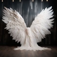 a large white feathered bird on a wooden floor