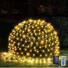 an outdoor christmas tree with lights on it