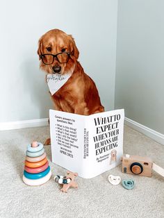 a dog sitting on the floor next to a book with an ad for what to expect when you want to be expecting