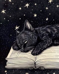 a black cat sleeping on top of an open book with stars in the sky behind it