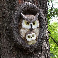 PRICES MAY VARY. 【High Quality Material】The owl statue outdoor tree faces decor is made of durable resin, which is UV resistant and waterproof, and is not easy to fade. It can withstand various weather conditions and is suitable for outdoor use. 【Exquisite Appearance】The lifelike resin mom and baby owl garden decorations adopts realistic design and hand graffiti. It has realistic details and textures, looks very realistic and super cute. 【Easy to Install】The owl tree sculpture comes with nails. Face Decor, Whimsical Tree, Garden Owl, Owl Tree, Outdoor Trees, Tree Faces, Baby Owl, Outdoor Living Decor, Sculpture Garden