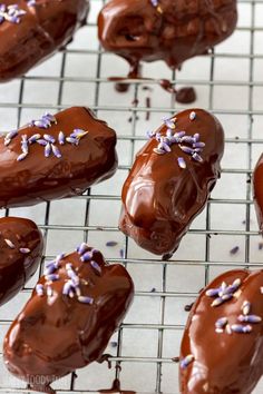 chocolate covered donuts with sprinkles on a cooling rack, ready to be eaten