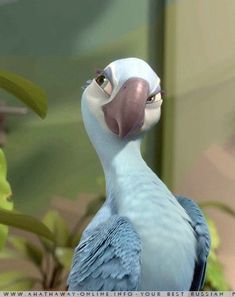 a blue and white bird standing in front of some green plant life with its eyes open