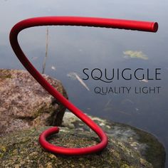 a red object sitting on top of a rock next to the water with text saying squiggle quality light