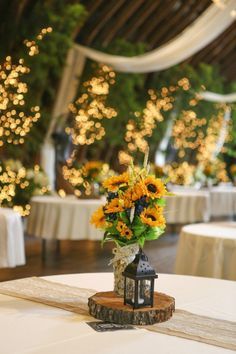 an image of a table setting with flowers in a vase on the centerpiece and lights behind it