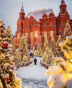 people are walking in front of a large building with christmas trees and lights on it