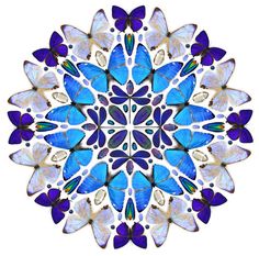 a blue and white circular design with many butterflies