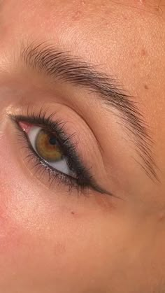 Eyeliner Around The Whole Eye, Meykap Girl, Eyeliner Without Lashes, Light Winged Eyeliner, Eyeliner Bottom Lash Line, Subtle Siren Eyes Makeup, Light Smoky Eyeshadow Tutorial, Eye Shadow Wing, Eyeliner Tutorial For Almond Eyes