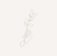 Ethan Tattoo, Neutral Illustration, Square Tattoo, Line Drawing Tattoos, Hands Holding Flowers, Tattoo Hand, Upper Arm Tattoos, Picking Flowers