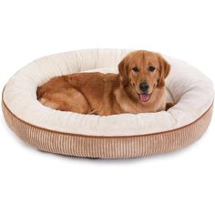 a brown dog laying in a round bed