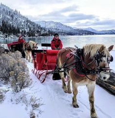 two horses pulling a sleigh with people in it on the snow covered ground