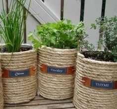 four planters with plants in them sitting on a wooden table