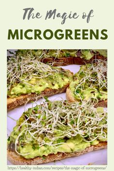 the magic of microgreens on toasted bread with sprouts and avocado