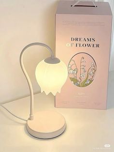 a lamp that is sitting next to a box