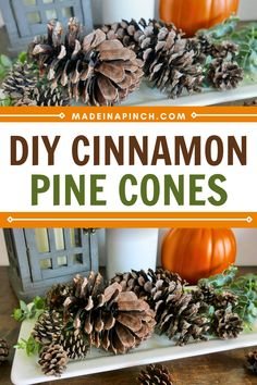 pine cones are sitting on top of a white plate