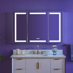 a bathroom vanity with two mirrors and lights on the wall, along with a plant