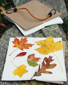 some leaves are laying on the ground next to a notebook and book bag with a string attached