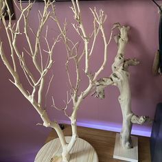 two fake trees sitting on wooden bases in front of a purple wall and blue chair