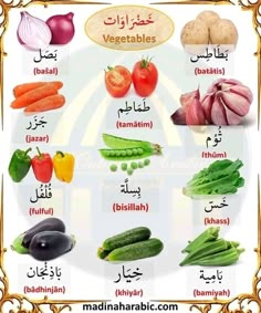 Learn Farsi, English And Arabic, Learning Spanish Vocabulary