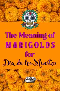 the meaning of mardi gras for dia de los muertos