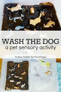 the cover of wash the dog a pet sensory activity