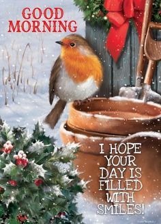 a christmas card with a bird sitting on top of a potted plant and the words, good morning i hope your days filled with smiles