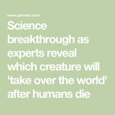 Science breakthrough as experts reveal which creature will 'take over the world' after humans die Taking Over The World, Octopus, Science, Human