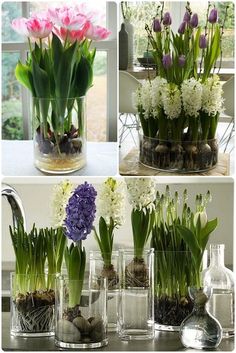 four different pictures of flowers in vases with rocks and stones on the bottom one has pink, white and purple tulips