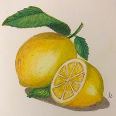 a drawing of two lemons with green leaves