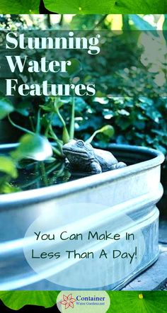 a frog sitting in a potted plant with the caption, you can make it less than a day