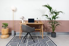 a desk with a laptop on it next to a potted plant and a chair