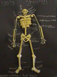 a skeleton is shown on a chalkboard with writing all over it and labeled parts