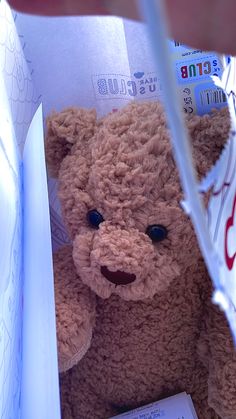 a brown teddy bear sitting inside of a box