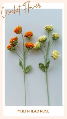 crochet flowers made with multi - head rose and leaves on a white background