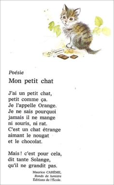 a poem written in french with a kitten sitting on top of the page and looking up at it