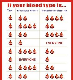 a poster with different types of blood drops in red and white, including the names of each