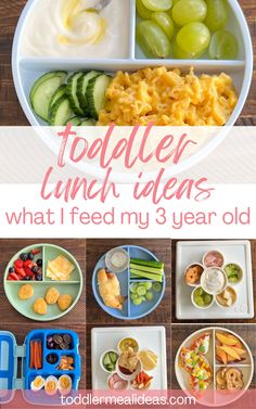 Make mealtimes fun with these easy, tasty, and nutritious toddler lunch ideas for 3 year olds! I'm a real mom of three sharing my tried and true toddler lunches for 3 year olds (or 2-4 year old toddlers) Easy Toddler Lunch Ideas, Toddler Lunch Ideas, Easy Toddler Lunches, Preschool Lunch, Toddler Lunch, Dinner Vegetarian