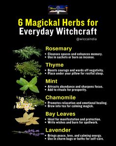 🌿 6 Everyday Herbs for Practical Witchcraft ✨

Did you know your kitchen might be full of magickal herbs? These 6 herbs are perfect for simple rituals and spells:

1️⃣ Rosemary: A versatile herb for cleansing spaces and boosting memory. Burn it or carry it for protection.
2️⃣ Thyme: Adds courage to your craft and wards off bad vibes. Use in rituals or sleep sachets.
3️⃣ Mint: Attracts abundance and enhances focus. Keep a fresh sprig nearby during rituals.
4️⃣ Chamomile: Known for emotional healing and relaxation. Brew it into tea for a calming ritual.
5️⃣ Bay Leaves: Manifest your desires by writing wishes on them and burning them.
6️⃣ Lavender: Brings peace, love, and tranquility. Add to baths or sachets for soothing energy.