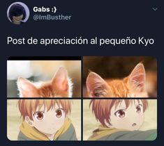 an orange cat sitting in front of two pictures with caption that says post de appreciacion al pequeno kyo