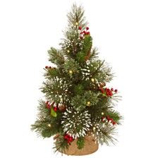 a small christmas tree in a pot with ornaments on it's branches and lights