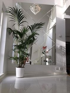 a large mirror sitting above a potted plant in a living room next to a staircase