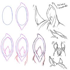 how to draw an animal's head with different shapes and hair styles, including the tail