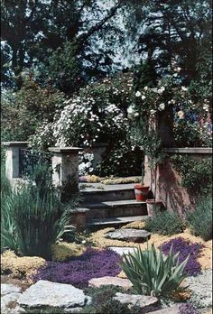 an outdoor garden with flowers and rocks